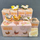 Mofusand Fruit Cats Mini Figure Complete Set (5 Pc)